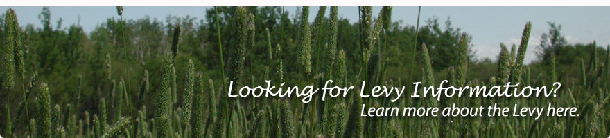 Levy Information