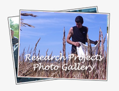 Forest Seed Events Photo Gallery
