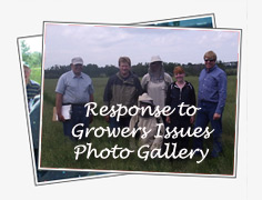 Insects & Diseases Photo Gallery